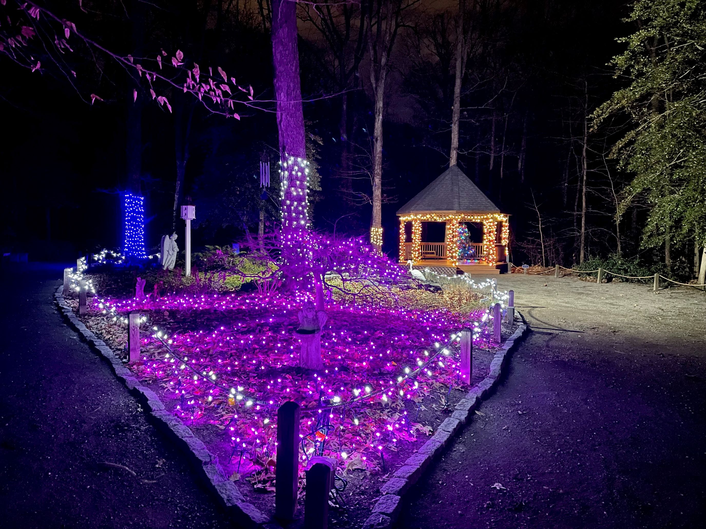 Grand Illumination Celebration