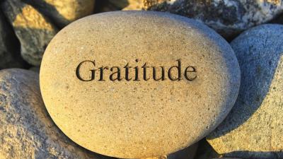 The Lavish Abundance of Open Heartedness