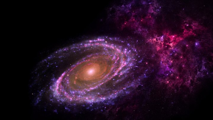 Trust The Universe
